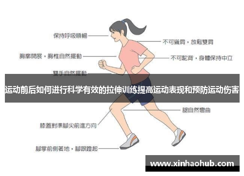 运动前后如何进行科学有效的拉伸训练提高运动表现和预防运动伤害